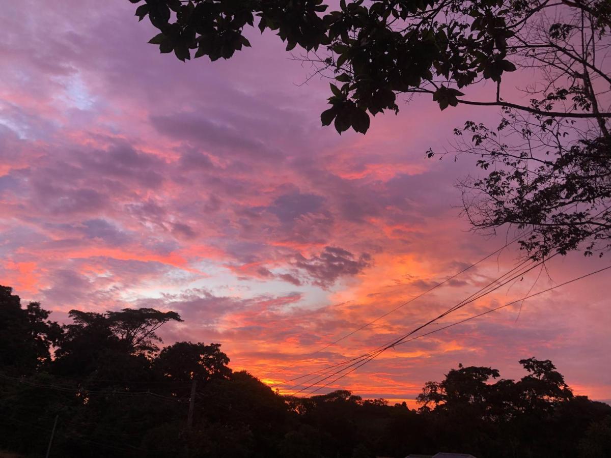 Teva Hotel & Jungle Reserve Manuel Antonio Exterior photo